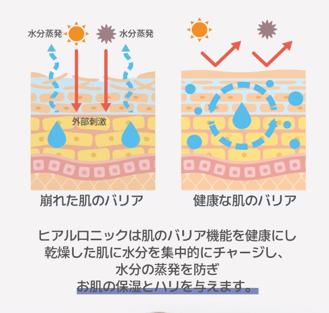 Dr.Hometox ラップソリューション モイスチャー ヒアルロニック マスク23g*10枚