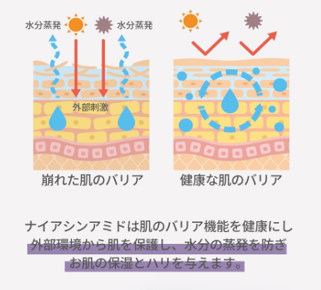 Dr.Hometox ラップソリューション ナイアシンアミド ブライトニング マスク23g*10枚