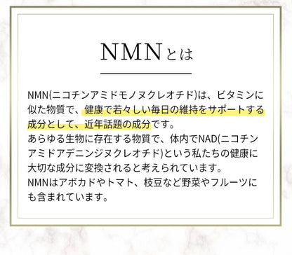 【新品】NMN24000 サプリメント 240粒(80日分) 補酵素 酵素 NMN サプリ NAD ニコチンアミドモノヌクレオチド